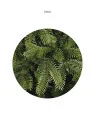 Choinka/ Tree Noel mix PE 400cm