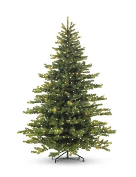 Exclusive 210cm SET_LED