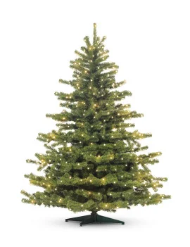 Exclusive 180cm SET_LED