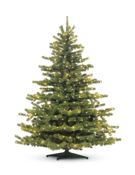 Exclusive 180cm SET_LED