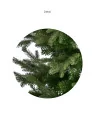 Choinka/Tree_Slim_Premium_150