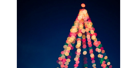 Choinka na pniu 180 cm